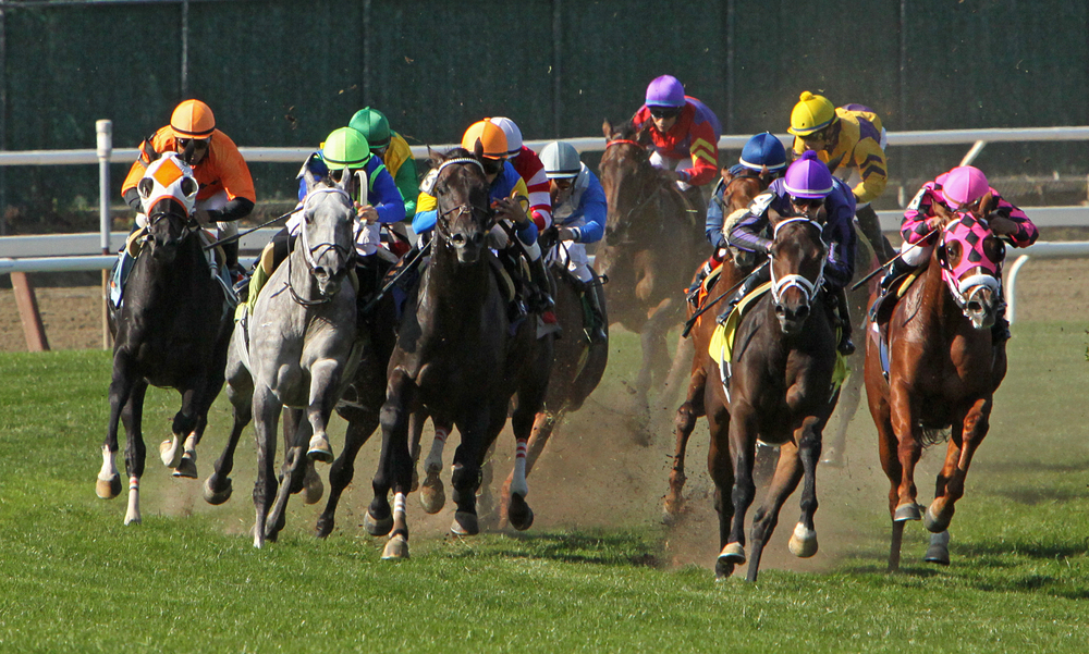 belmont park horse race track, new york