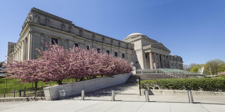 cherry trees in full bloom in front of the Brooklyn Museum, Brooklyn, NY
