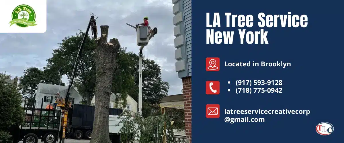 LA Tree Service New York